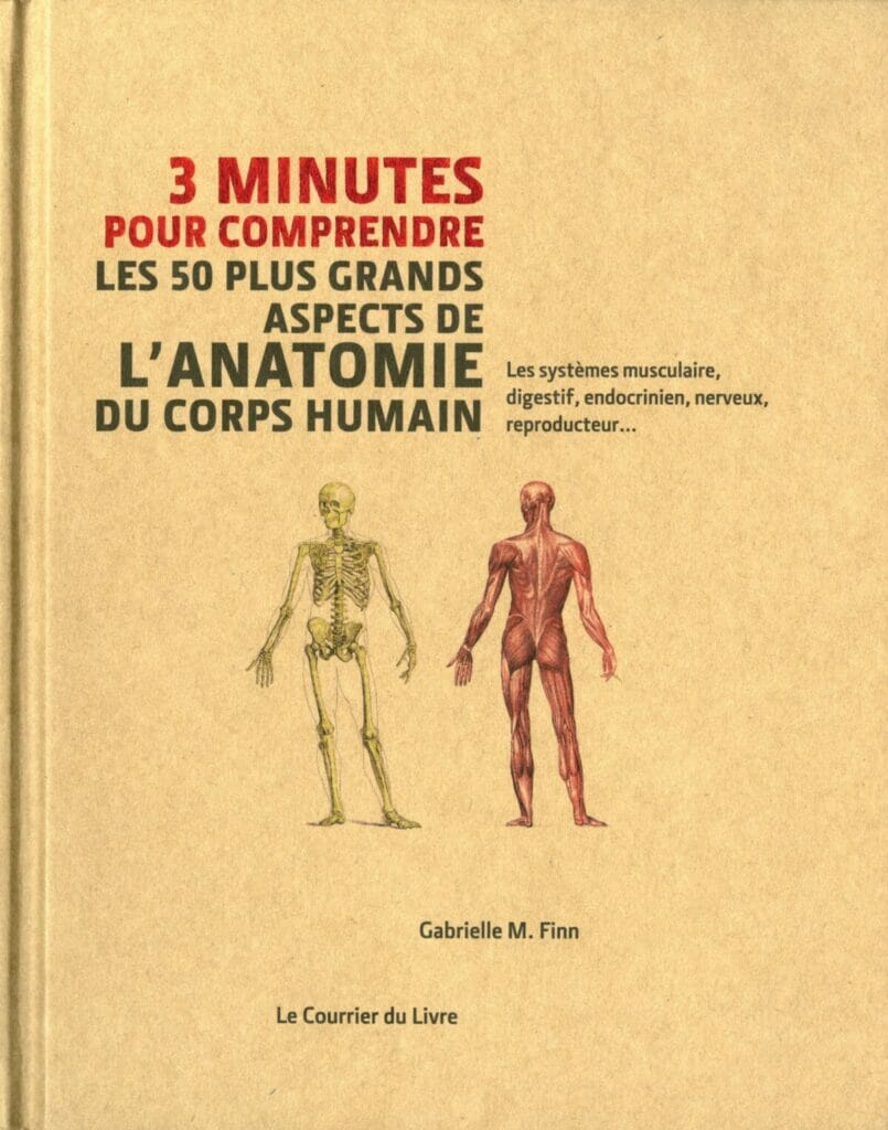 3 minutes pour comprendre l'anatomie du corps humain