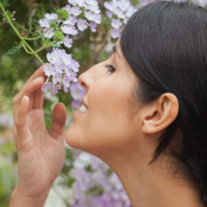 Pouvoir des plantes