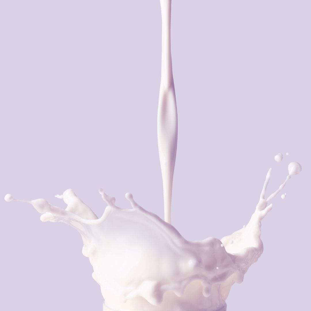 Gluten et Lactose